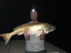 Monster Redfish: Morehead City's Finest!